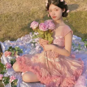 Aiertu - Anita the Rose Petal of Paradise Glade Corset Top and Skirt Dress Set Kawaii Academia Y2K Cottagecore Coquette Fairycore Dollette Princesscore Bottoms