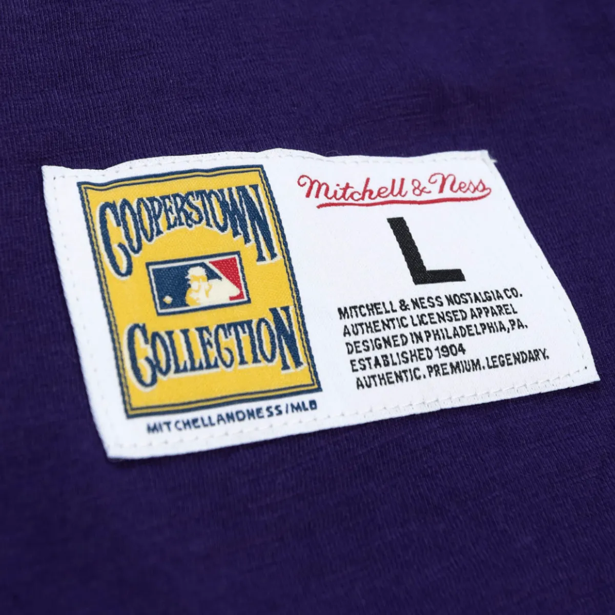 Rays Men's Mitchell & Ness Purple Legendary Slub Devil Rays Henley T-Shirt